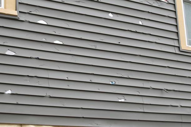 Professional Siding in St Petersburg, FL